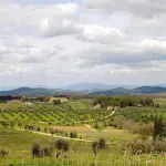 Il Chianti: una vacanza tra storia, natura ed enogastronomia